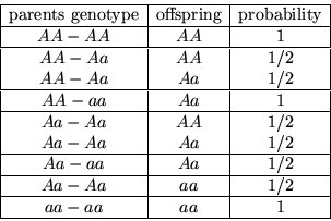 Understanding Genotype Aa: Key Insights And Implications