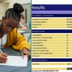 Essential Subjects For Accounting In Waec: A Comprehensive Guide